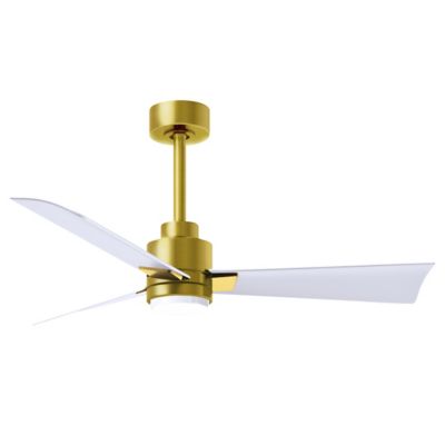 Alessandra LED Ceiling Fan