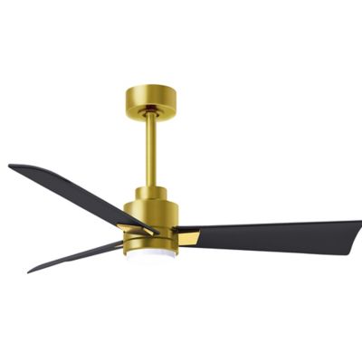 Alessandra LED Ceiling Fan