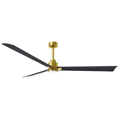 Alessandra LED Ceiling Fan