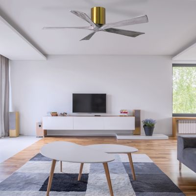 Shown in Barnwood Blades finish, Brushed Brass Fan Body finish, in use