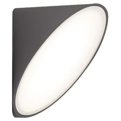 Orchid LED Wall Sconce