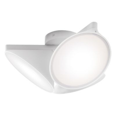 Orchid LED Flushmount