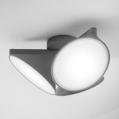 Orchid LED Flushmount