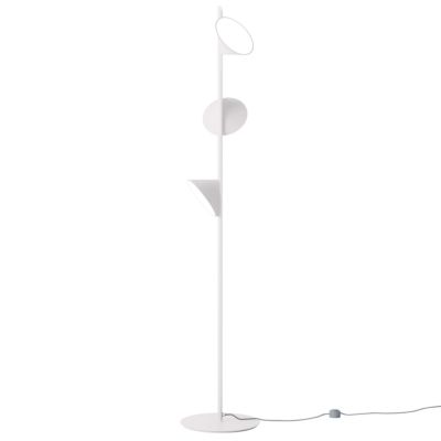 Orchid LED Floor Lamp