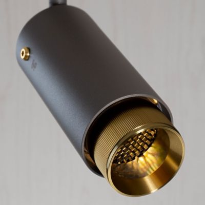Shown in Brass accent finish, Graphite finish, Detail view, lit