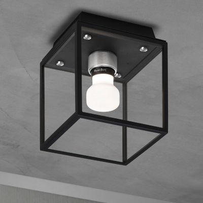 Caged Wet Outdoor Flushmount