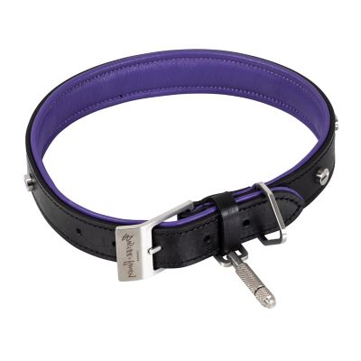 Dog Collar