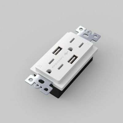 Outlet Module Duplex with 2 USB-A