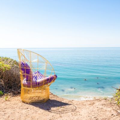 Peacock Lounge Chair by Bend Goods at Lumens.com