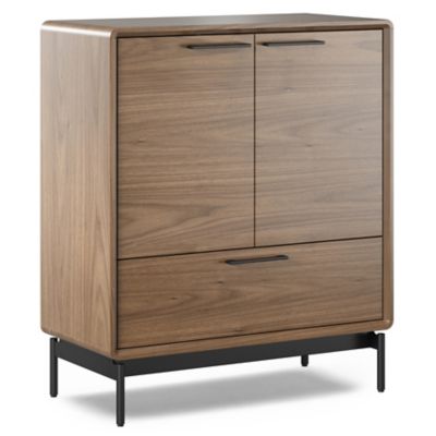 LINQ Entry Cabinet