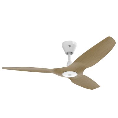 Haiku L Outdoor LED Ceiling Fan