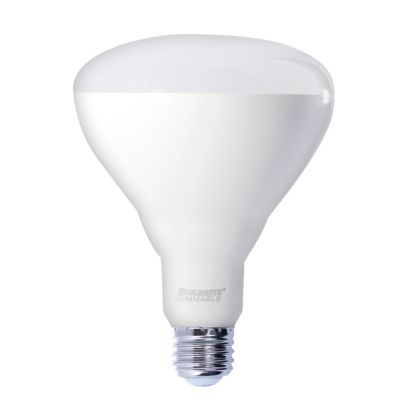 15.5W 120V BR40 E26 2700K White LED Bulb