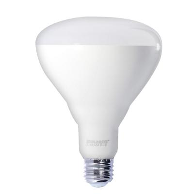 15.5W 120V BR40 E26 2700K White LED Bulb