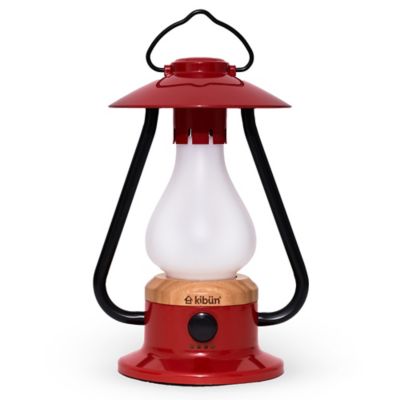Bonfire Cordless Outdoor Rechargeable LED Table Lamp