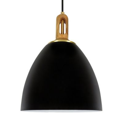 Wood Handle Glass Pendant