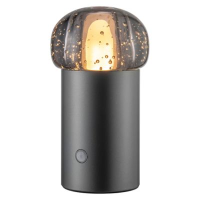 IRIS Mini Rechargeable LED Table Lamp