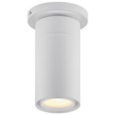 GX25 LED Flushmount