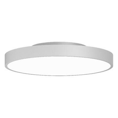 Rhythm Essentials LED Round Flushmount