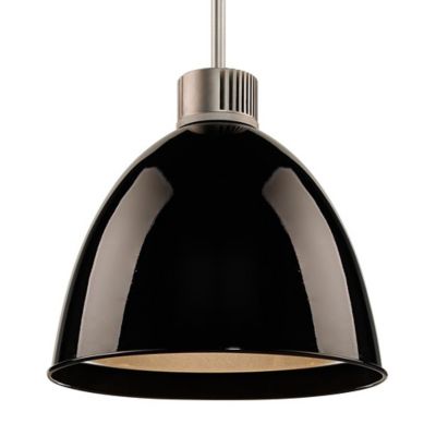 Classic Pendant (Black|Matte Chrome|4" Monopoint) - OPEN BOX