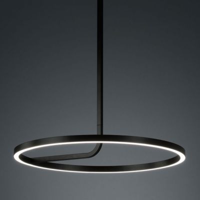 Hoopla LED Pendant