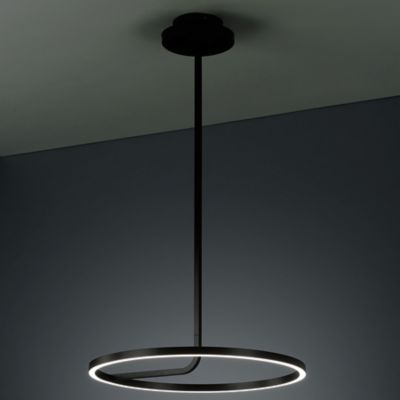 Hoopla LED Pendant by Boyd Lighting at Lumens.com