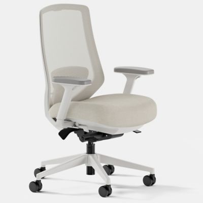Ergonomic Task Chair Pro