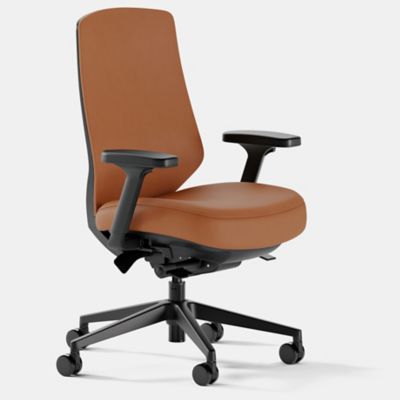 Ergonomic Task Chair Pro