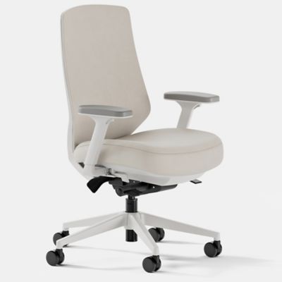 Ergonomic Task Chair Pro