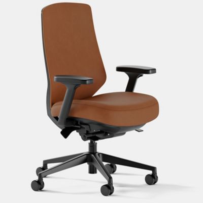Ergonomic Task Chair Pro