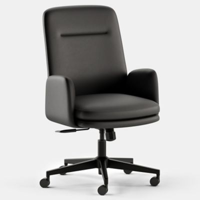 Softside Task Chair