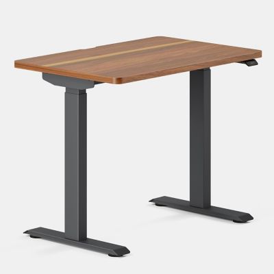 Duo Standing Desk