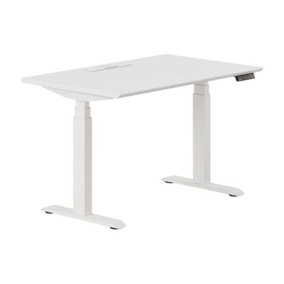 Standing Desk
