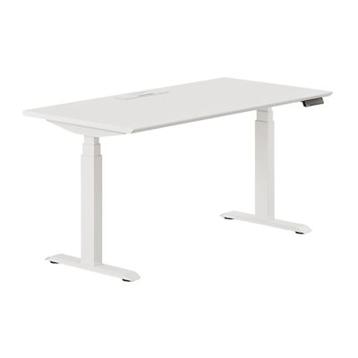 Standing Desk