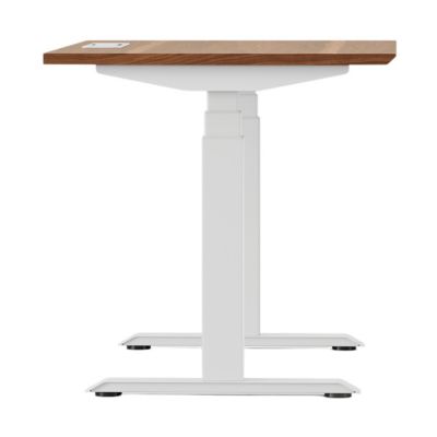 Double Standing Desk - Thumbnail 5