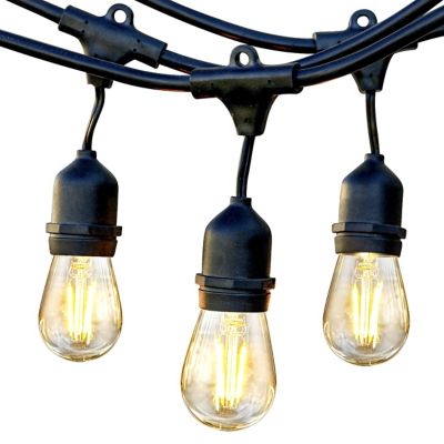 Renel Hanging Bulb Outdoor String Light