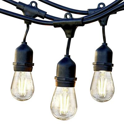 Renel Hanging Bulb Outdoor String Light