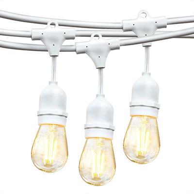 Renel Hanging Bulb Outdoor White String Light