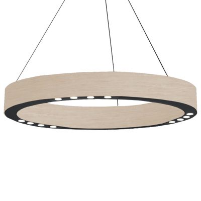 R2 LED Pendant