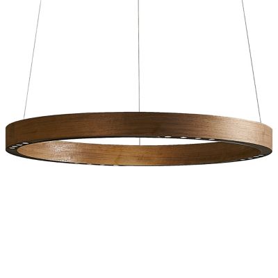 R2 LED Pendant