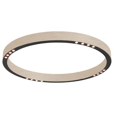 R2 LED Flushmount
