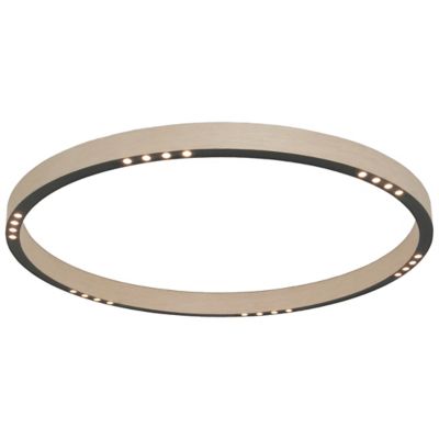 R2 LED Flushmount