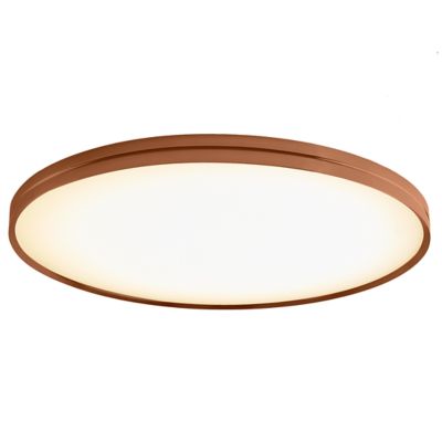 Lite Hole LED Wall / Flushmount