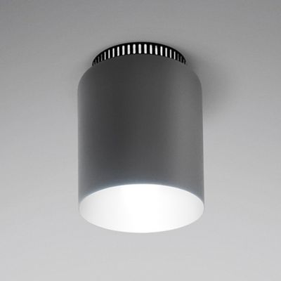 Aspen C17 Flushmount