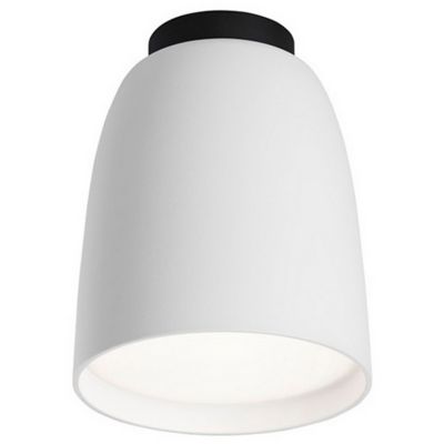 Nut LED Outdoor Flushmount