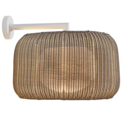 Fora LED  Outdoor Wall Sconce