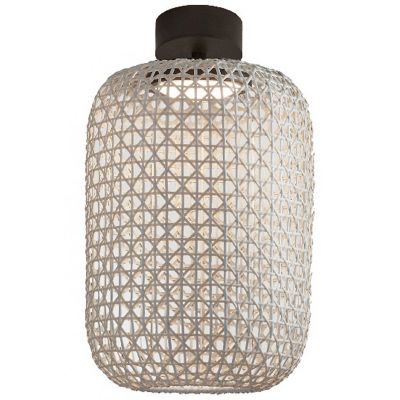 Nans Outdoor LED Flushmount