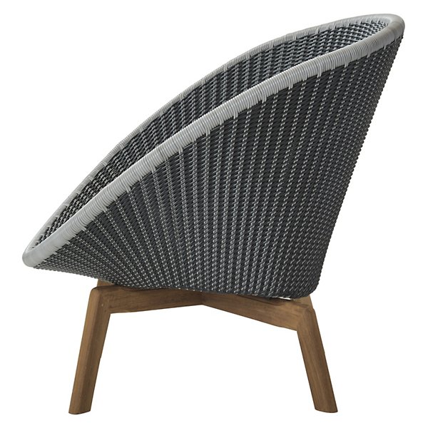 Peacock Outdoor Lounge Chair