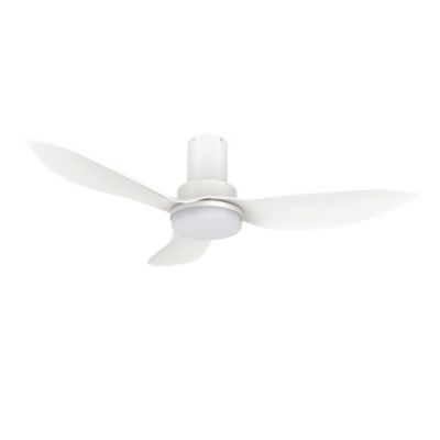 Ryna LED Smart Ceiling Fan