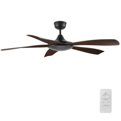 Salem Smart Ceiling Fan