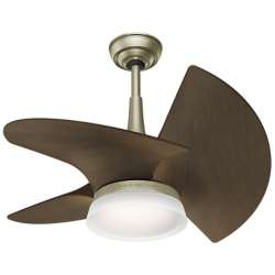 Orchid Ceiling Fan